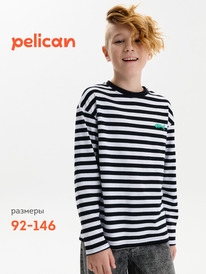 22.04 Pelican ������� ��� ��������� BFJ3389U ������
