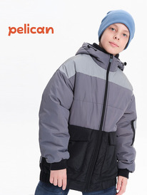 22.04 Pelican �������� ��� ��������� BZJC3369 �����