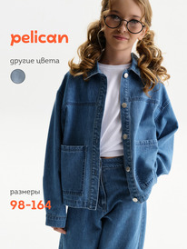 12.04  Pelican ������ ��� ������� GGCJ3394 �����