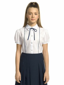 12.04  Pelican ������ ��� ������� GWCT8110 �����
