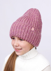 �����  Clever ����� ������� ��� ������� CLE 423702��� �.�������