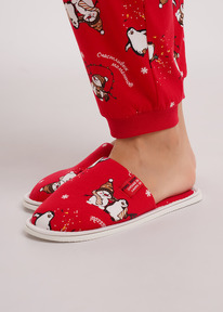 �����  Clever ����� ������� CLE SW15-1202C �������/��������