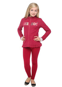 �����  Clever ��������� ������� ��� ������� CLE 762491/61�� ���������