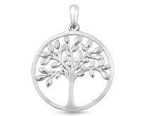 ��������, ��� �������, ���-1