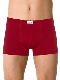 22.05 DiWaRi ����� ������� DIWARI BASIC MEN MSH 2127 20�-1073��� dark red MSH 21