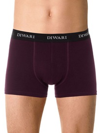 22.05 DiWaRi ����� ������� DIWARI BASIC MEN MSH 2147 20�-1076��� dark bordo (���