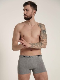 22.05 DiWaRi ����� ������� DIWARI PREMIUM MSH 758 17�-443��� grey melange MSH 75