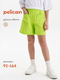 26.05 Pelican ����� ��� ������� GFH3369U ���������