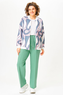 ����� ����� Swallow 801.1 ���� 502090