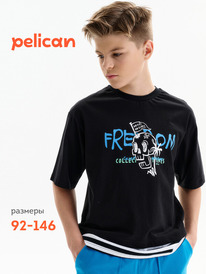 02.10 Pelican �������� ��� ���������