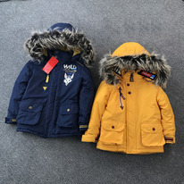  Pelican  , , -,    1613   