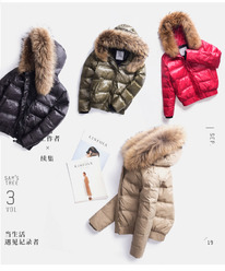 ,   ,  ,  S M L XL 2X,   