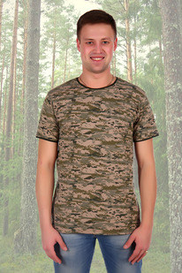 �������� 1647