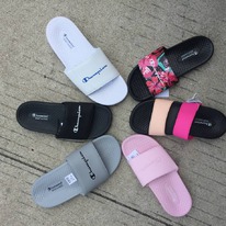  Champion 1231      35  45,5