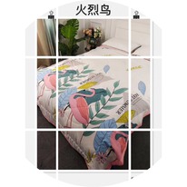 ������ ������ Z*a*ra ho*m*e  ������ 200x230, ����� � ������������