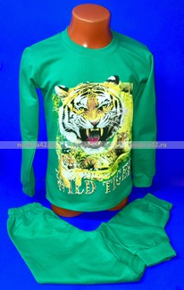 ������ ������������ �� ��������� 9-12 ���