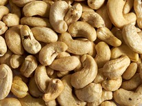 ���� ����� �������